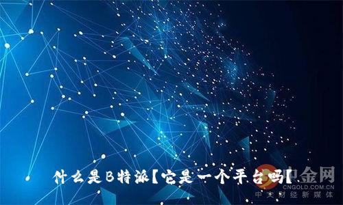 什么是B特派？它是一个平台吗？