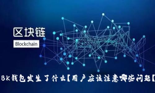 BK钱包发生了什么？用户应该注意哪些问题？