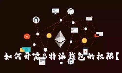 如何开启B特派钱包的权限？