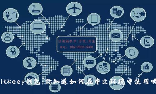 BitKeep钱包：你知道如何在中文环境中使用吗？