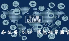 如何下载和使用 BitP 钱包的苹果官方 app？