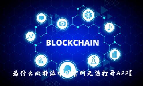 为什么比特派中国官网无法打开APP？