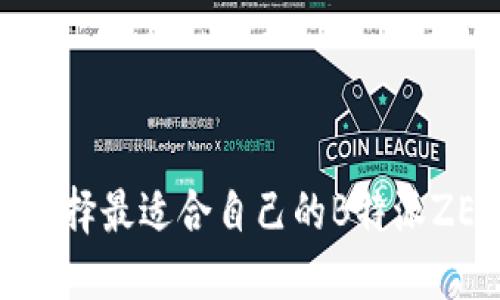 : 如何选择最适合自己的B特派ZEC钱包？