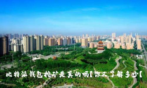 比特派钱包挖矿是真的吗？你又了解多少？