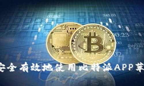 如何安全有效地使用比特派APP苹果版？