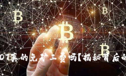 比特派转USDT真的免矿工费吗？揭秘背后的真相与误解