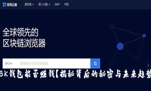 BK钱包能否赚钱？揭秘背后的秘密与未来趋势