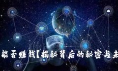 BK钱包能否赚钱？揭秘背后的秘密与未来趋势