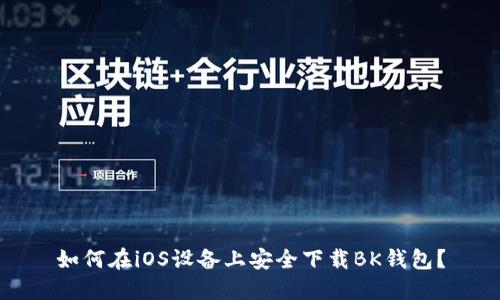 如何在iOS设备上安全下载BK钱包？
