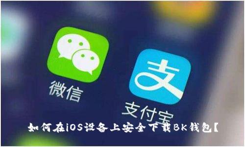 如何在iOS设备上安全下载BK钱包？