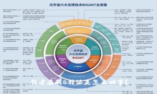 钱老在刷B特派是怎么回事？