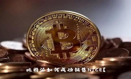 比特派如何成功销售NICE？
