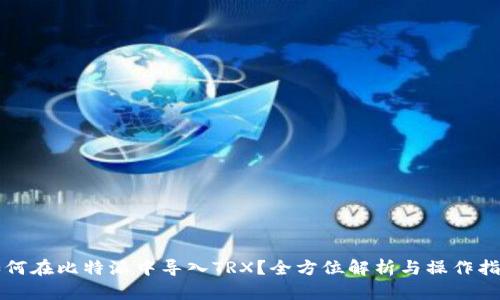 如何在比特派中导入TRX？全方位解析与操作指南
