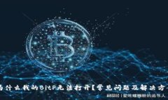 为什么我的BitP无法打开？常见问题及解决方案