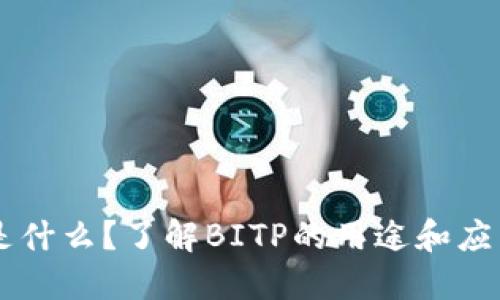 BITP是什么？了解BITP的用途和应用场景