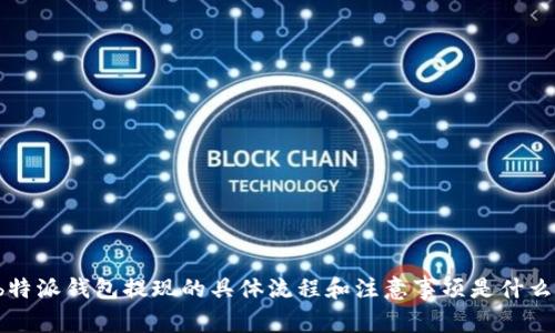 b特派钱包提现的具体流程和注意事项是什么？