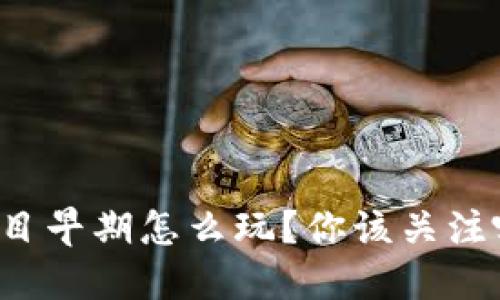 区块链项目早期怎么玩？你该关注哪些要素？