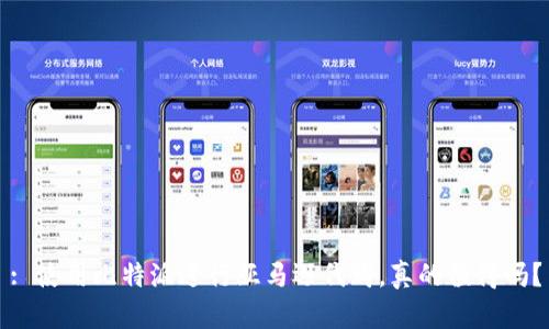 : 使用比特派进行亚马逊代购，真的值得吗？
