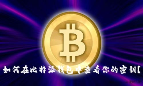 如何在比特派钱包中查看你的密钥？