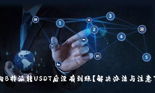 为什么向B特派转USDT后没有到账？解决办法与注意事项详解