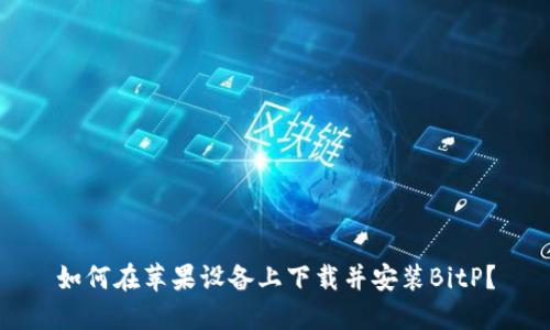 如何在苹果设备上下载并安装BitP？
