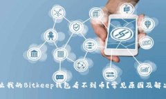 为什么我的Bitkeep钱包看不到币？常见原因及解决