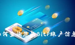 如何查询您的BitP账户信息？
