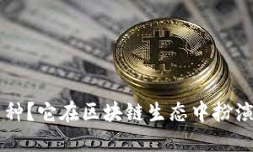 什么是B特派币种？它在区块链生态中扮演了怎样的角色？