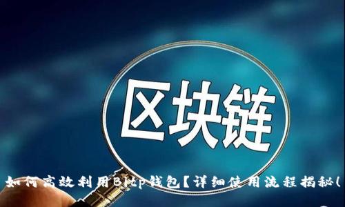 如何高效利用Bitp钱包？详细使用流程揭秘！
