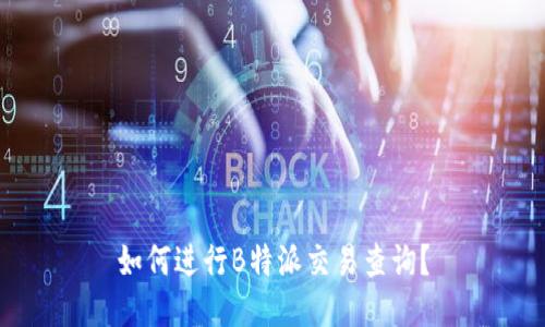 如何进行B特派交易查询？