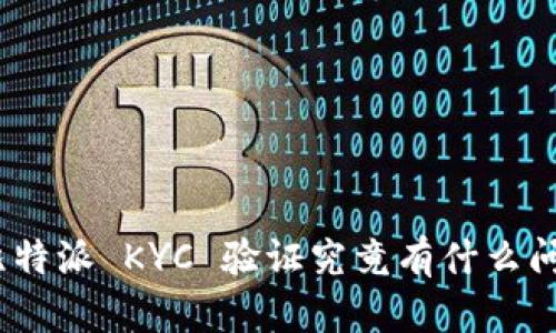 : 比特派 KYC 验证究竟有什么问题？