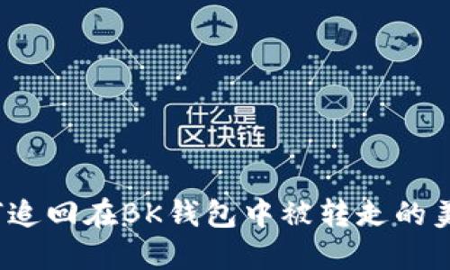 如何追回在BK钱包中被转走的美金？