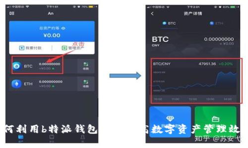 如何利用b特派钱包项目提高数字资产管理效率？