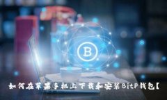 如何在苹果手机上下载和安装BitP钱包？