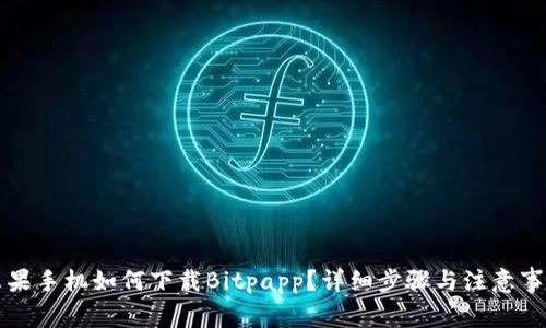 苹果手机如何下载Bitpapp？详细步骤与注意事项