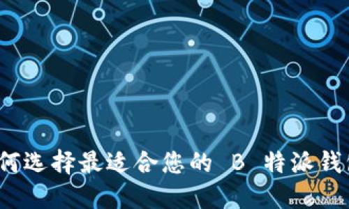 如何选择最适合您的 B 特派钱包？