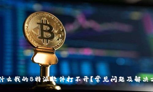 为什么我的B特派软件打不开？常见问题及解决方案