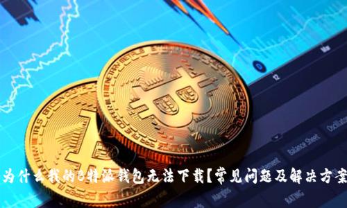 为什么我的B特派钱包无法下载？常见问题及解决方案
