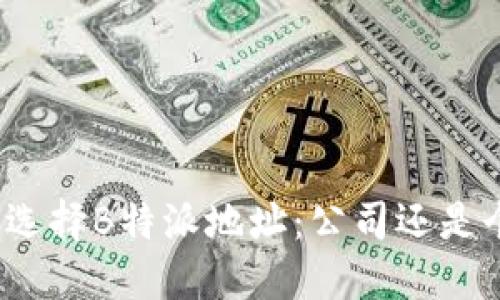 如何选择B特派地址：公司还是个人？