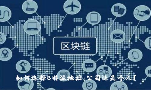 如何选择B特派地址：公司还是个人？