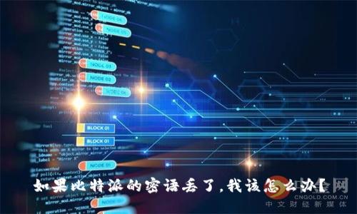 如果比特派的密语丢了，我该怎么办？
