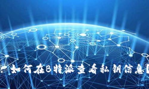 : 如何在B特派查看私钥信息？