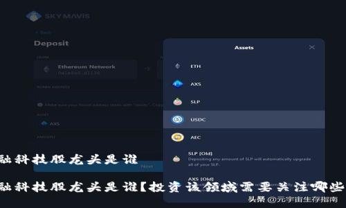 区块链金融科技股龙头是谁

区块链金融科技股龙头是谁？投资该领域需要关注哪些关键因素？
