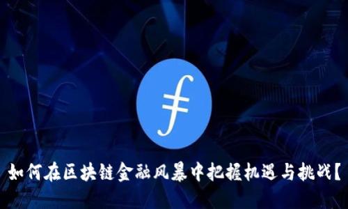 如何在区块链金融风暴中把握机遇与挑战？