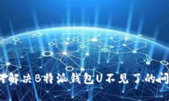 如何解决B特派钱包U不见了的问题？