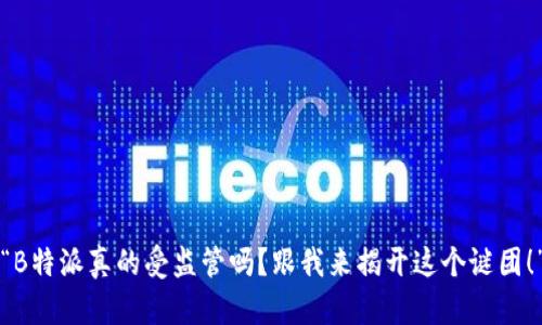 “B特派真的受监管吗？跟我来揭开这个谜团！”