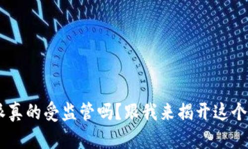 “B特派真的受监管吗？跟我来揭开这个谜团！”