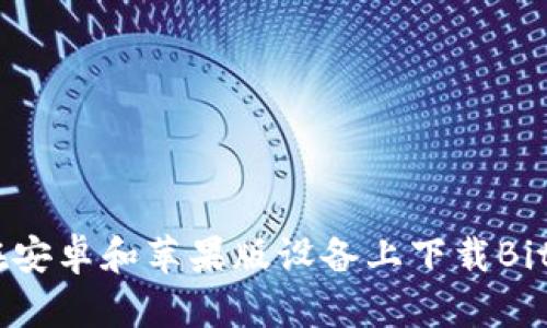 如何在安卓和苹果版设备上下载BitPapp？
