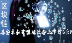 如何在安卓和苹果版设备上下载BitPapp？