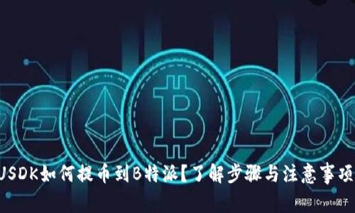 USDK如何提币到B特派？了解步骤与注意事项！